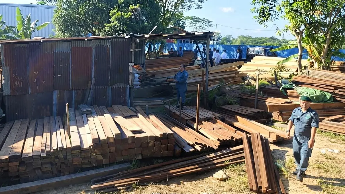 Tumpukan kayu ulin dan meranti menjadi barang bukti dalam penyidikan dugaan penggunaan dokumen hasil hutan palsu.
