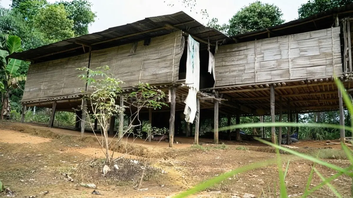 Bentuk Lumbung padi yang dapat bertahan hingga 20 tahun