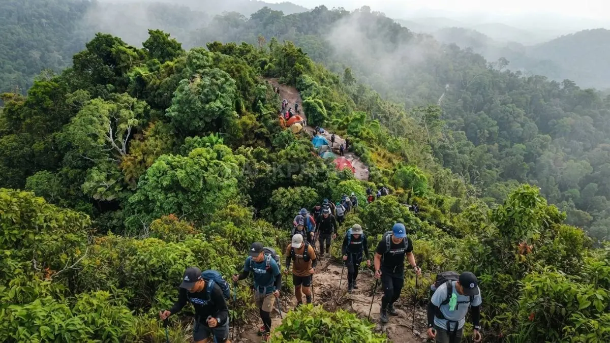 Pendaki menaklukkan jalur terjal Bukit Sampi sambil membangun kebersamaan dan persaudaraan melalui open trip bersama. (BTV/AI)

