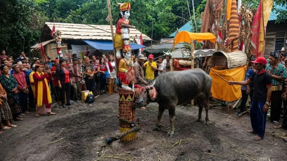 Upacara Tiwah merupakan ritual suci suku Dayak untuk mengantarkan roh leluhur menuju kedamaian abadi. (BTV/Ai)