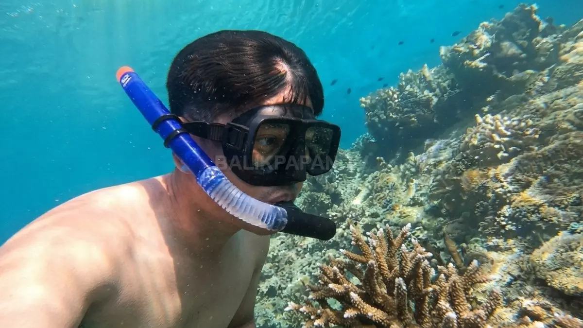 Wisatawan snorkeling bersama ubur-ubur tanpa sengat di Danau Kakaban, Kabupaten Berau, Kalimantan Timur. (BTV/AI)