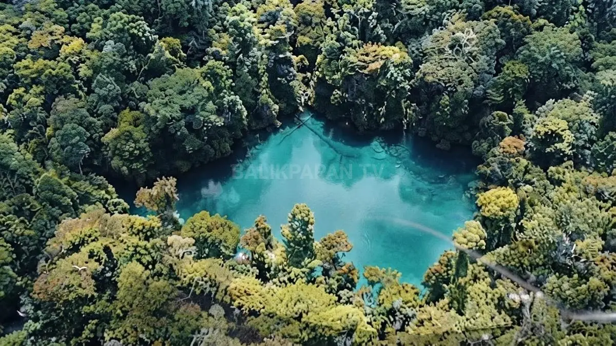 Destinasi wisata bahari Kalimantan Timur menyuguhkan keindahan ekosistem bawah laut yang memikat wisatawan domestik dan mancanegara. (BTV/AI)