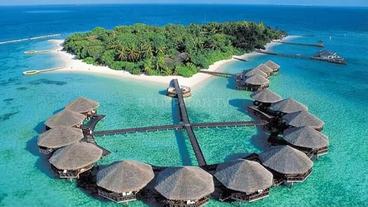 Pulau Derawan Berau menyuguhkan keindahan bawah laut, penyu hijau, hiu tutul, dan perairan jernih memikat wisatawan. (BTV/AI)