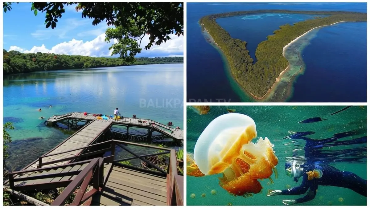 Pulau Kakaban Berau menghadirkan danau purba dengan ubur-ubur tanpa sengat, destinasi wisata alam berkelas dunia unik. (BTV/AI)