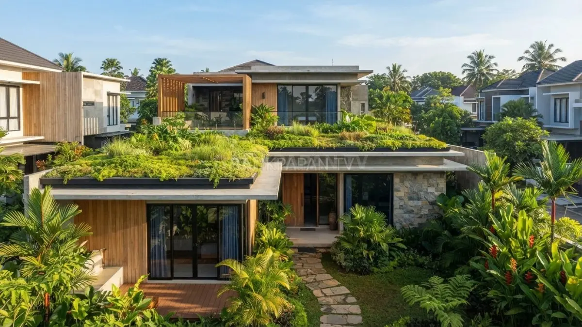 Arsitektur atap hijau menawarkan cara alami menjaga suhu rumah tetap nyaman di wilayah tropis (BTV/Ai)