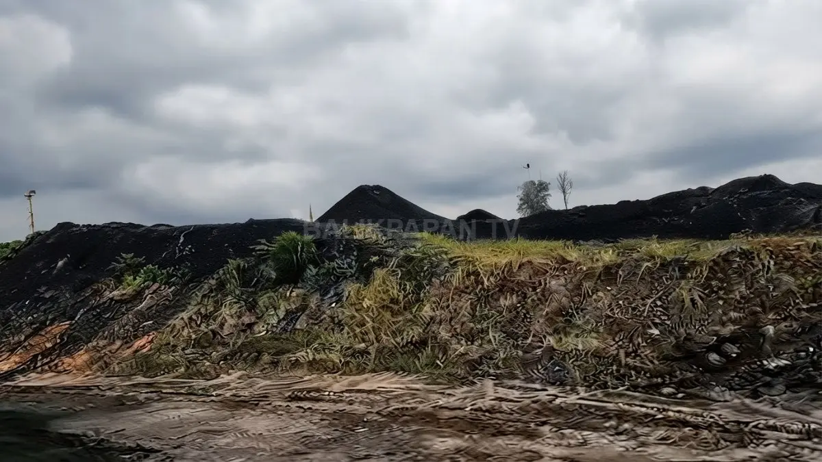 Kawasan tambang Kalimantan memperlihatkan aktivitas industri, perkebunan luas, dan tantangan perjalanan (BTV/Ai)
