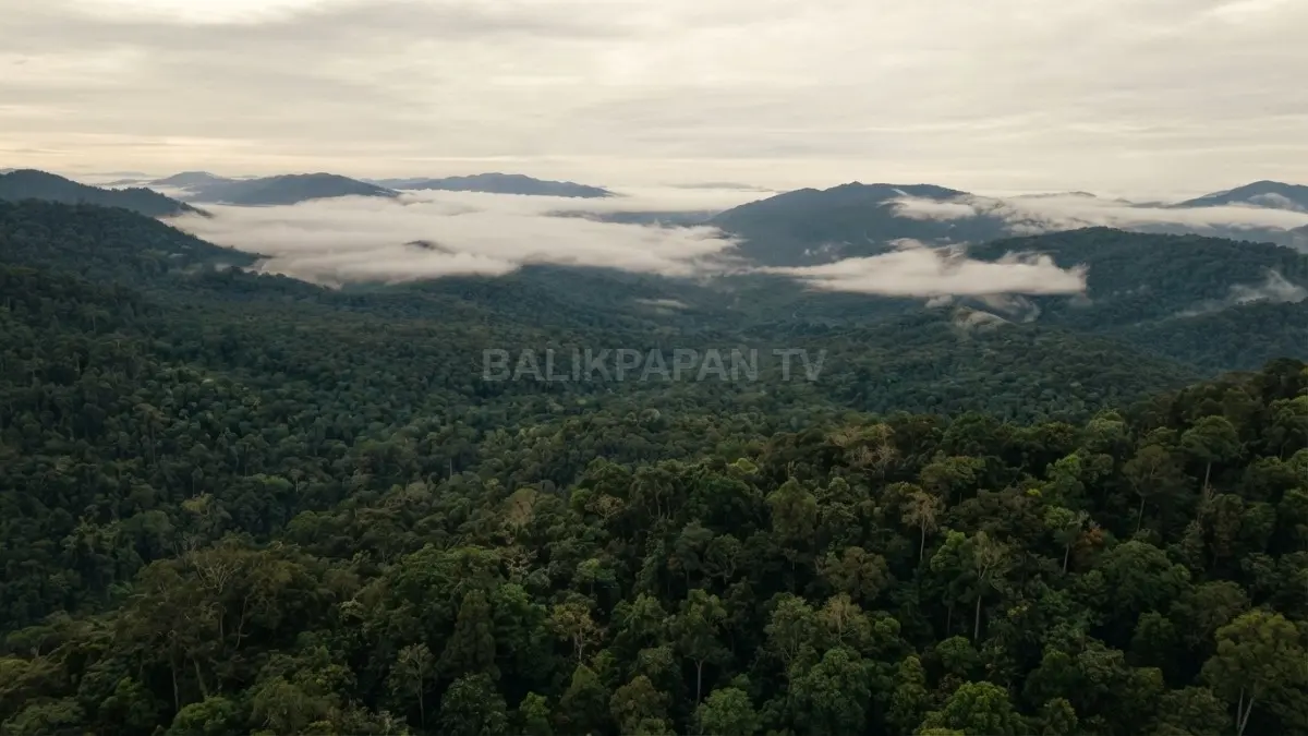Pemandangan memukau puncak Gunung Harun dari atas menyajikan hamparan alam hijau yang begitu mempesona. (BTV/Ai)