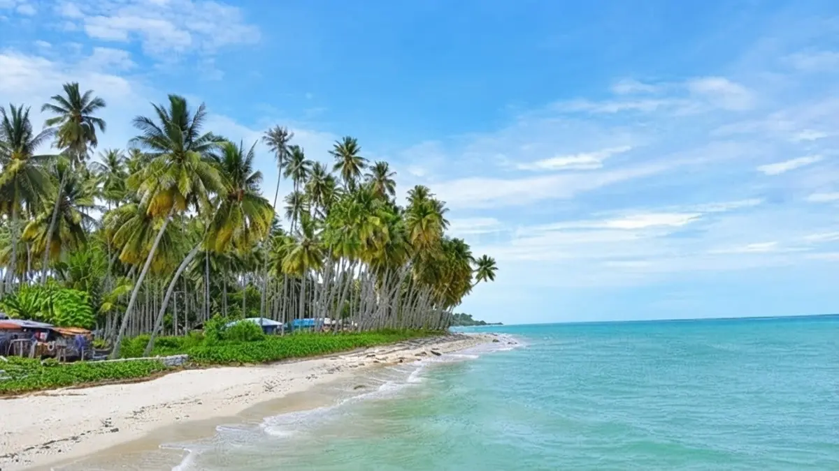 Panorama pesisir Biduk-Biduk menghadirkan pantai alami, perbukitan hijau, udara sejuk, serta suasana liburan yang menenangkan. (BTV/AI)