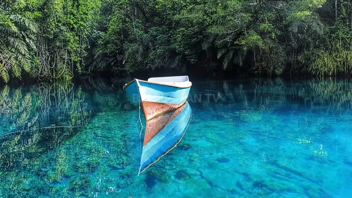 Touring Samarinda menuju Berau menantang pengendara melewati hutan tropis, jalur berkelok, dan panorama alam memikat. (BTV/AI)