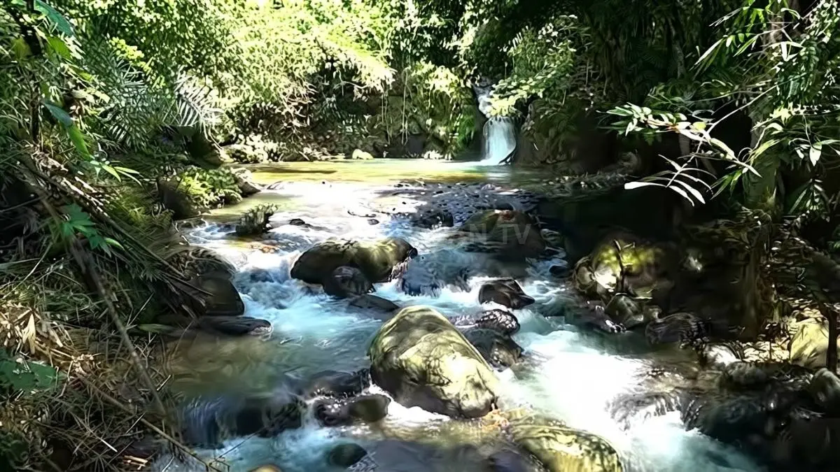 Aliran sungai berbatu dengan deretan pohon bambu alami di wilayah permukiman Desa Malaris. (BTV/Ai)