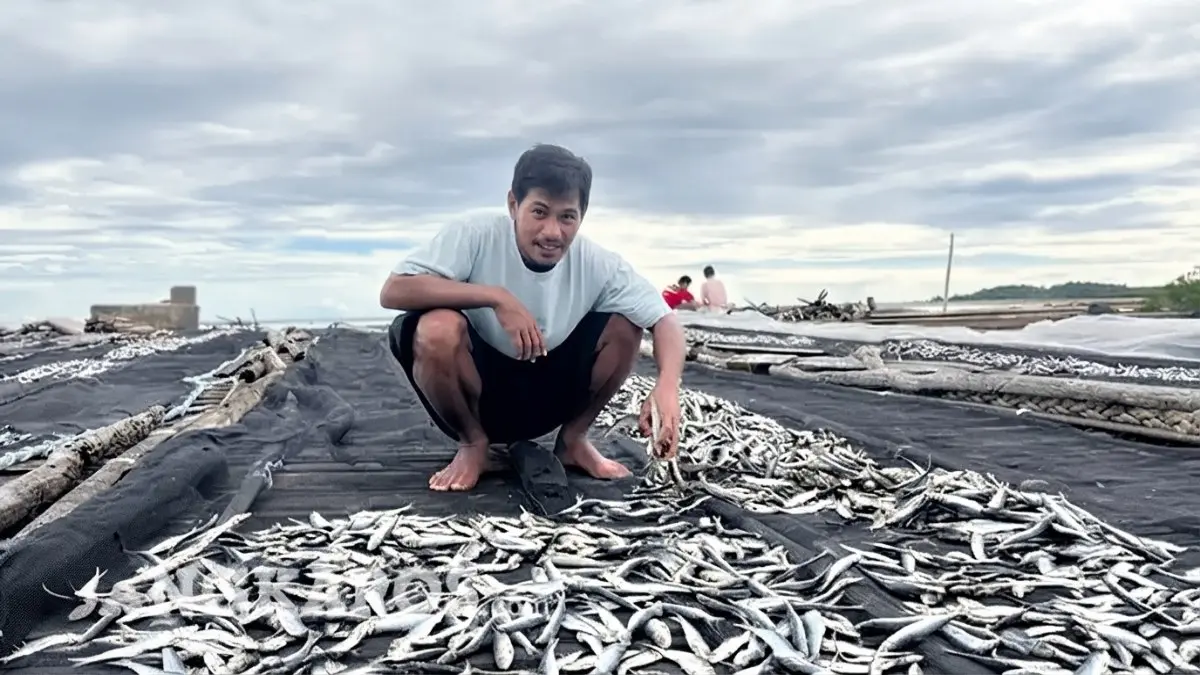 Aktivitas nelayan membongkar hasil tangkapan yang menjadi bahan baku industri olahan ikan di PPU.