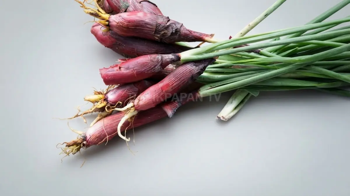 Ilustrasi bawang Dayak sebagai rempah khas Kalimantan yang memperkaya cita rasa kuliner tradisional. (BTV/Ai)