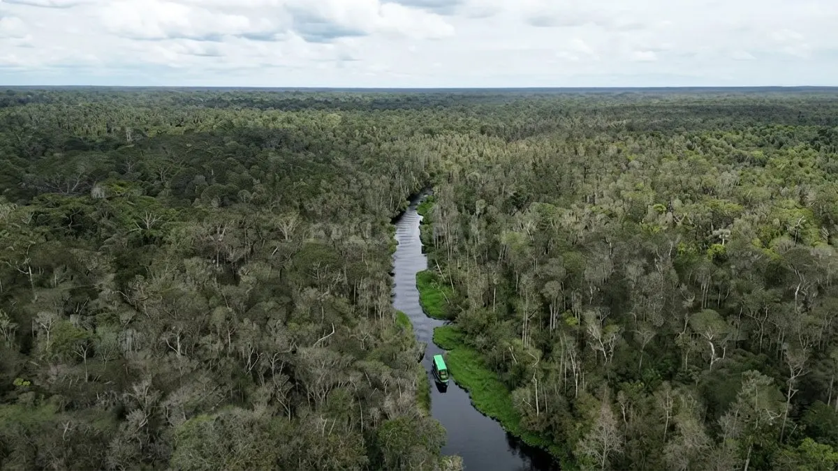 Kapal klotok menyusuri Sungai Sekonyer menuju habitat alami orangutan di Taman Nasional Tanjung Puting. (BTV/AI)