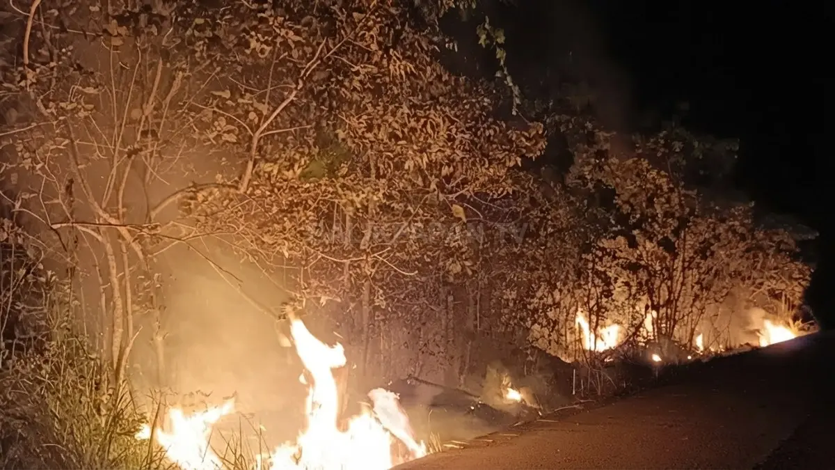 Kondisi lahan yang terbakar di kawasan Jalan Simpang Batu Paser setelah api berhasil dipadamkan.