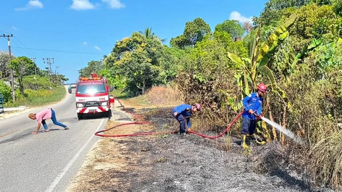 Petugas Damkar Babulu melakukan pemadaman kebakaran lahan warga di Babulu Darat, Penajam Paser Utara.