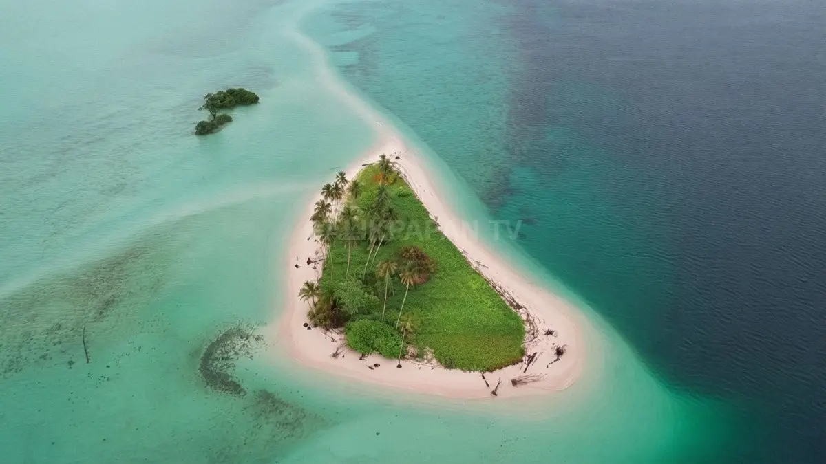 Pulau Manimbora menampilkan pasir putih, pepohonan kelapa, dan laut jernih khas pesisir Berau. (BTV/AI)
