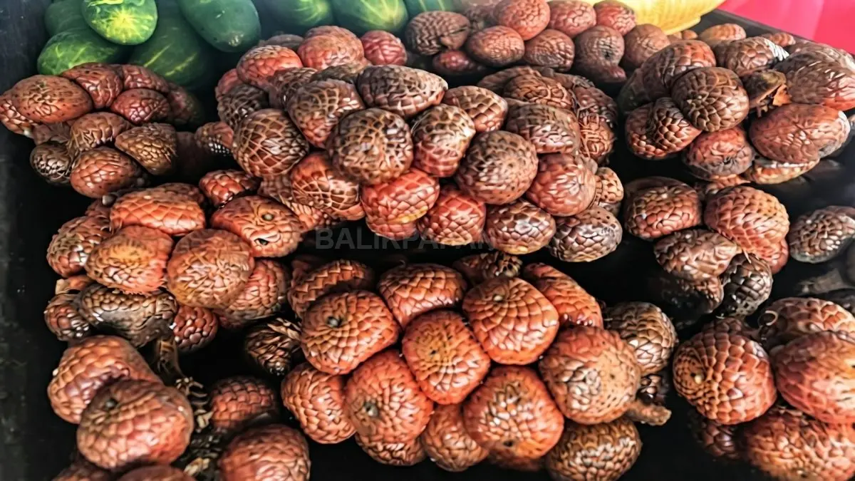 Buah asam paya dengan tekstur bersisik khas menawarkan cita rasa masam menyegarkan yang unik. (BTV/Ai)