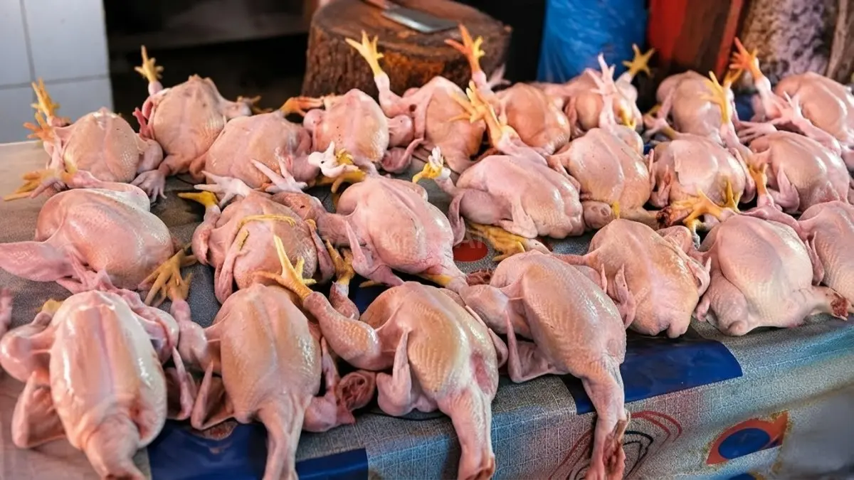 Pedagang menata ayam potong di Pasar Bengkuring Samarinda di tengah penyesuaian harga dan bobot.