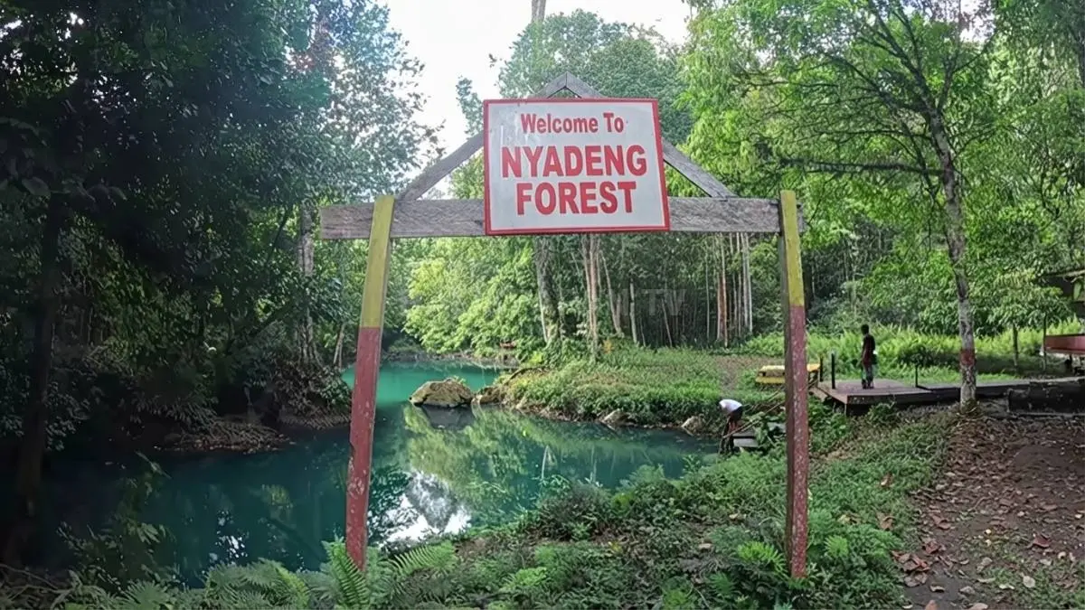 Kejernihan Danau Nyadeng di tengah hutan karst Merabu menghadirkan pengalaman wisata alam yang menarik, Ces! (YT: Andito Nasir)