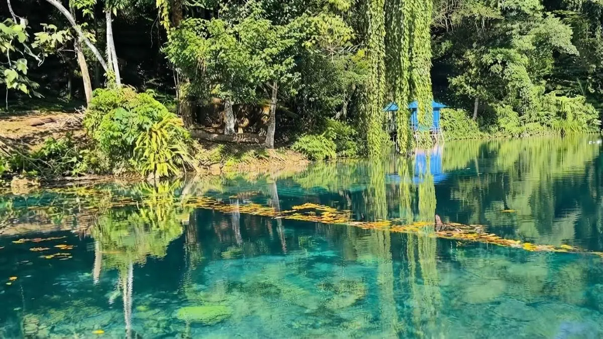 Telaga Biru Tulung Ni Lenggo di Berau memiliki air biru jernih dikelilingi pepohonan hijau. (BTV/AI)