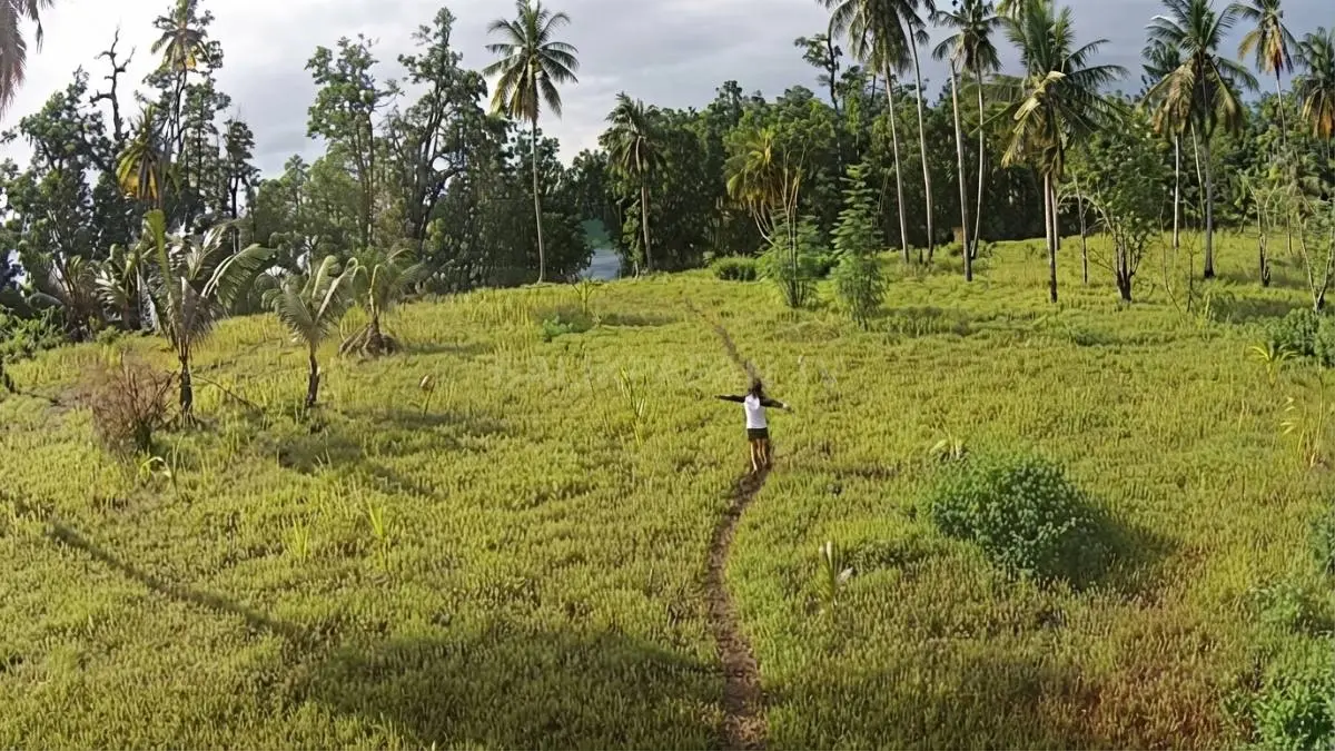 Ekosistem pesisir Pulau Birah-Birahan menampilkan kawasan mangrove dan padang rumput yang masih alami.