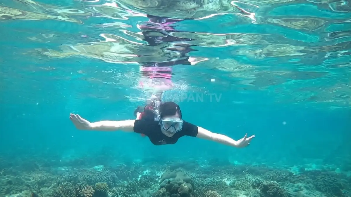 Keindahan bawah laut Pulau Birah-Birahan menjadi daya tarik snorkeling sekaligus pengingat pentingnya konservasi.