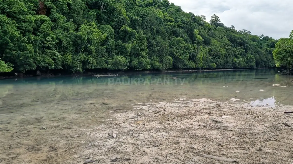 Laguna Kehe Daing di Pulau Kakaban menampilkan air laut jernih dikelilingi hutan alami Kepulauan Derawan.