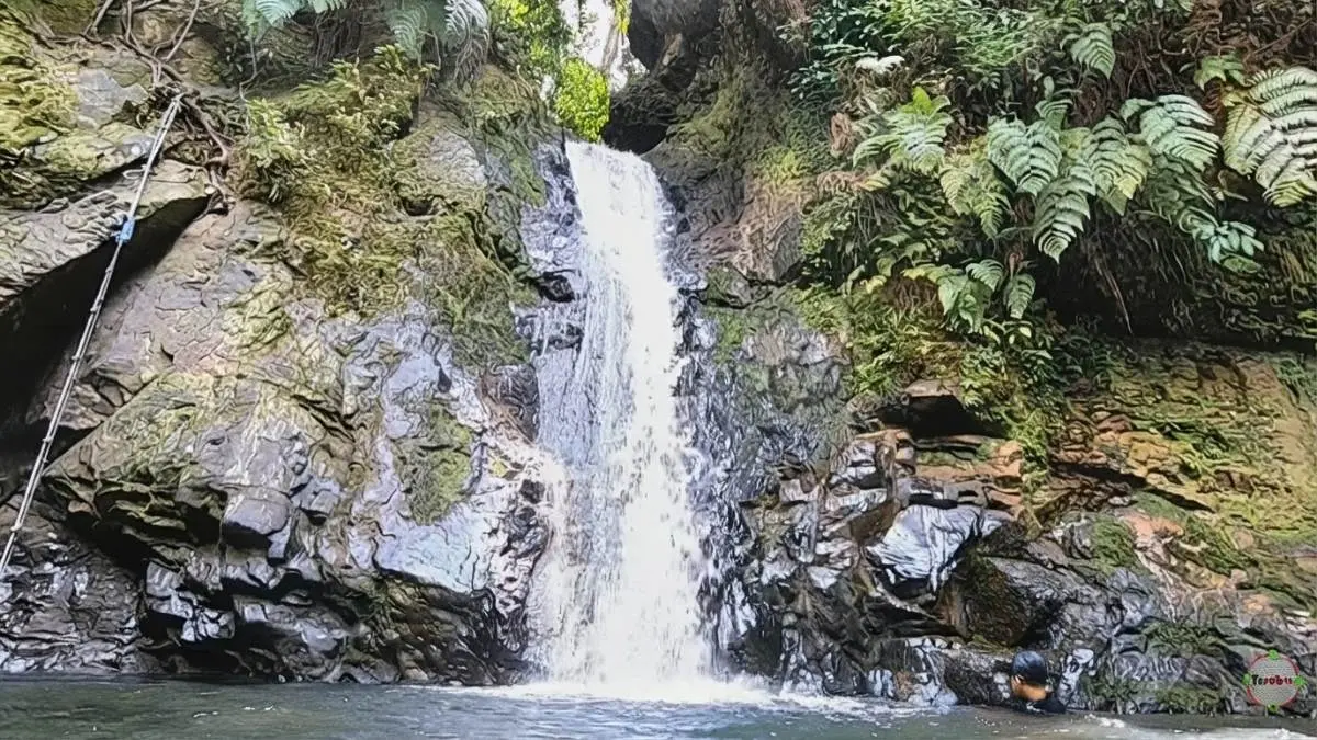 Air Terjun Batu Dinding mengalir di tengah hutan asri Desa Tanjung Belit, Kampar Kiri Hulu, Riau.