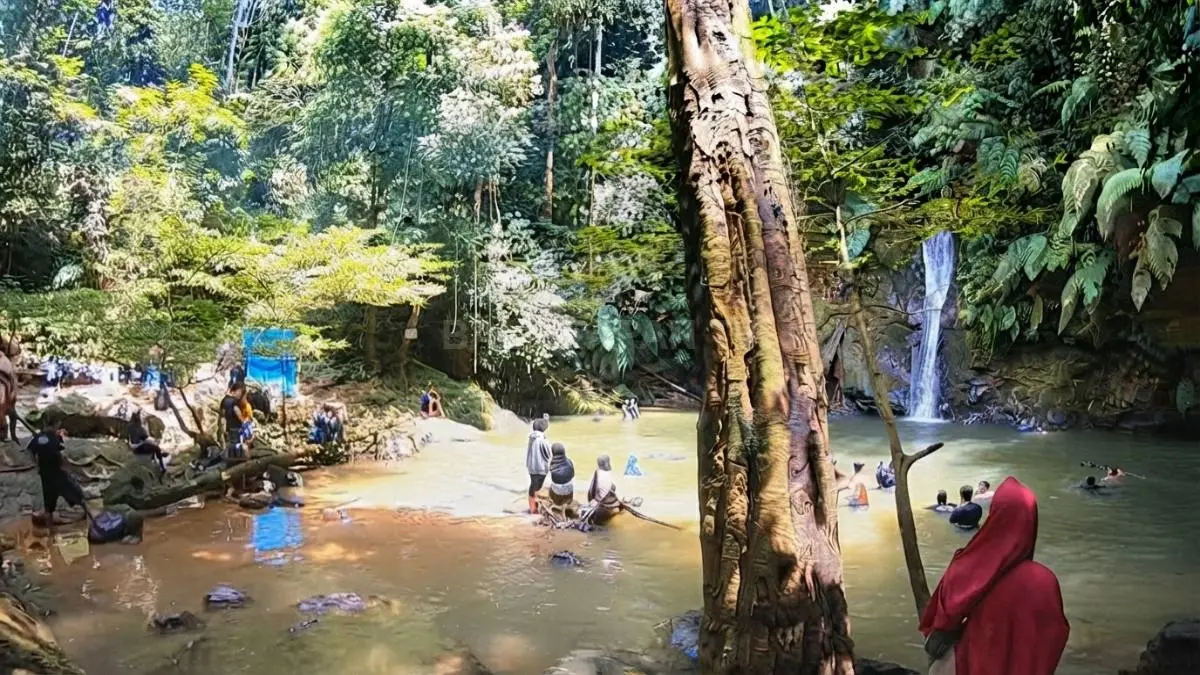 Hutan Rimbang Baling menjadi latar alami yang memperkuat pesona Air Terjun Batu Dinding.