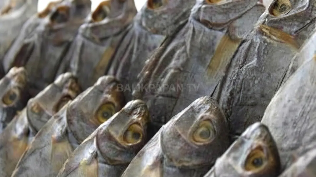 Ikan asin pipih dari ikan air tawar menjadi salah satu olahan tradisional masyarakat Kalimantan. (BTV/AI)