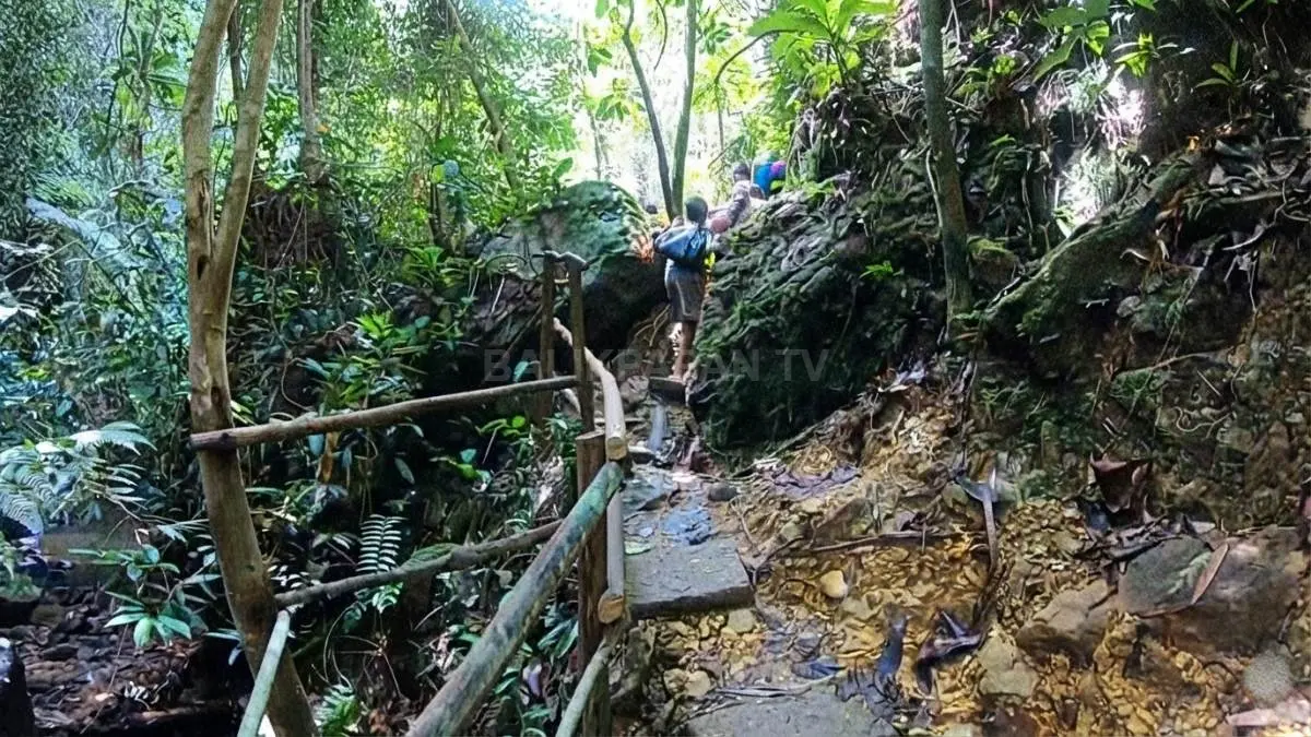  Jalur setapak berhutan mengantarkan pengunjung menuju tingkatan Air Terjun Batu Dinding.