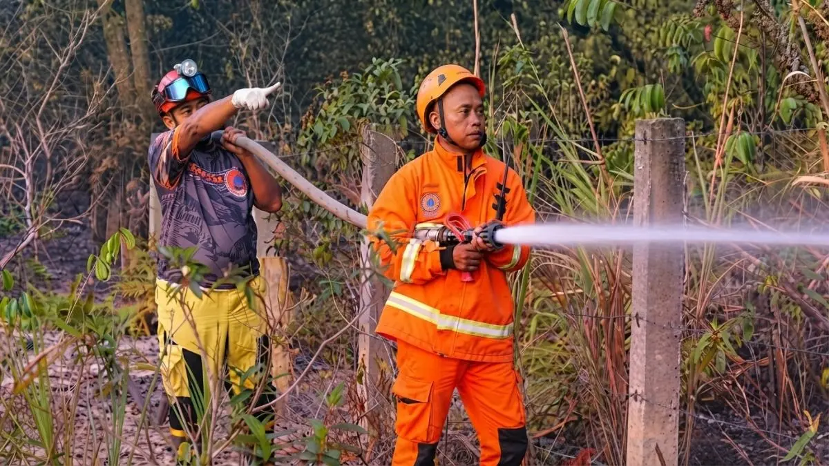 Petugas memadamkan kebakaran lahan di Kalimantan Timur sebagai upaya mencegah karhutla meluas.