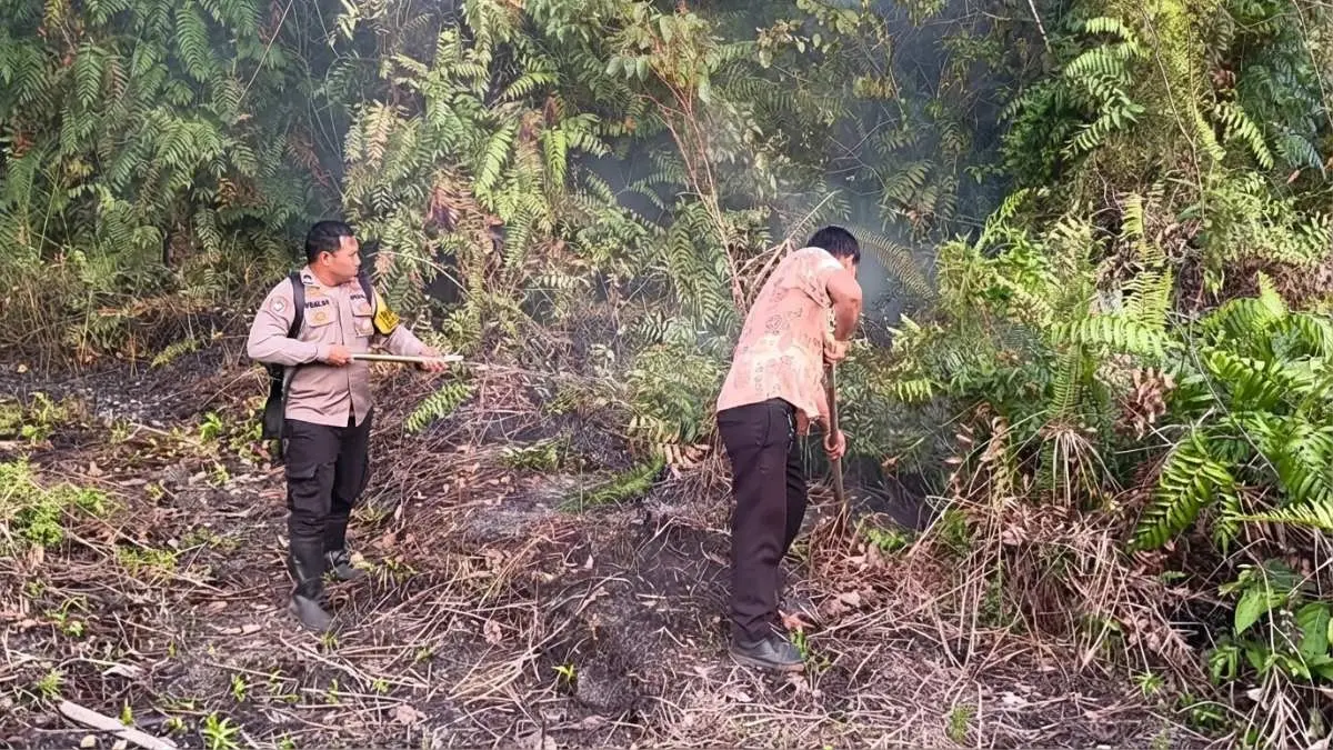 BPBD Kutai Timur mencatat 29 titik panas karhutla, dengan tiga kecamatan menjadi fokus pengawasan karena meningkatnya risiko kebakaran selama musim kemarau. (BTV/AI) (IST)