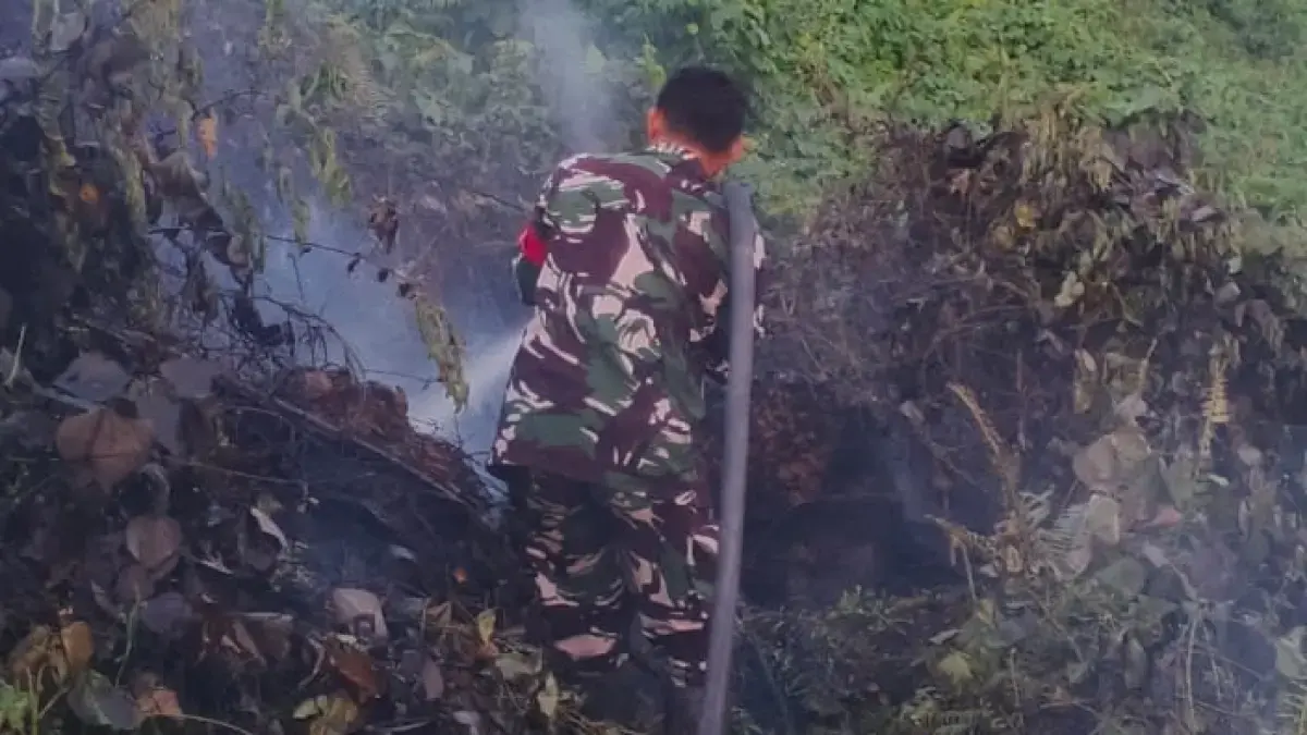 Karhutla melanda lahan gambut di Muara Muntai, Kutai Kartanegara, dan menyulitkan tim gabungan memadamkan api karena medan sulit serta bara yang dapat bertahan di bawah permukaan. (BTV/AI)