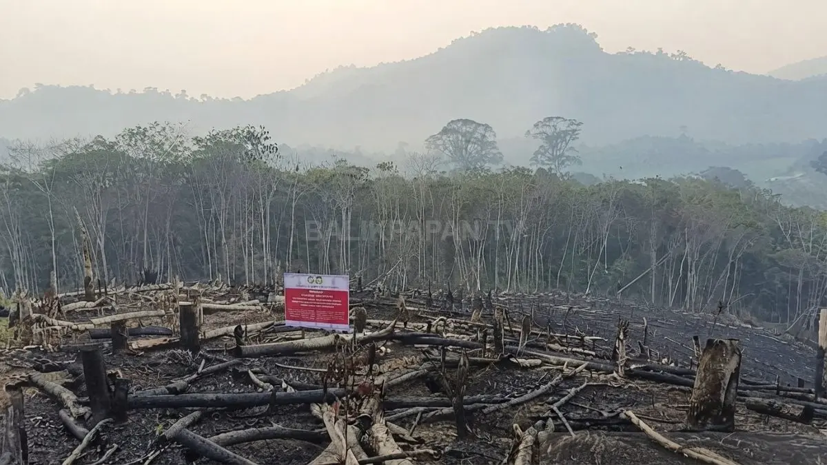 Petugas Kemenhut melakukan pengawasan terhadap perusahaan terkait karhutla di Kalimantan.