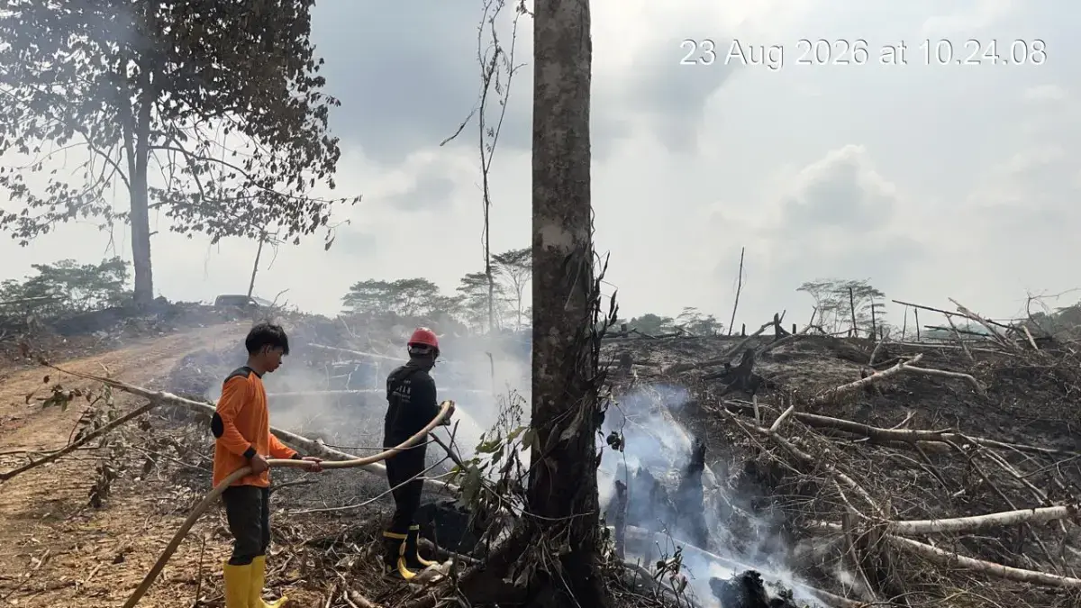 Karhutla di Tarakan terus menjadi perhatian sepanjang Agustus 2026. Polisi menyebut belum ada pelaku yang diamankan karena sejauh ini belum ditemukan bukti pembakaran yang dilakukan secara sengaja. Penanganan dan koordinasi antarlembaga pun terus diperkuat. (BTV/AI)