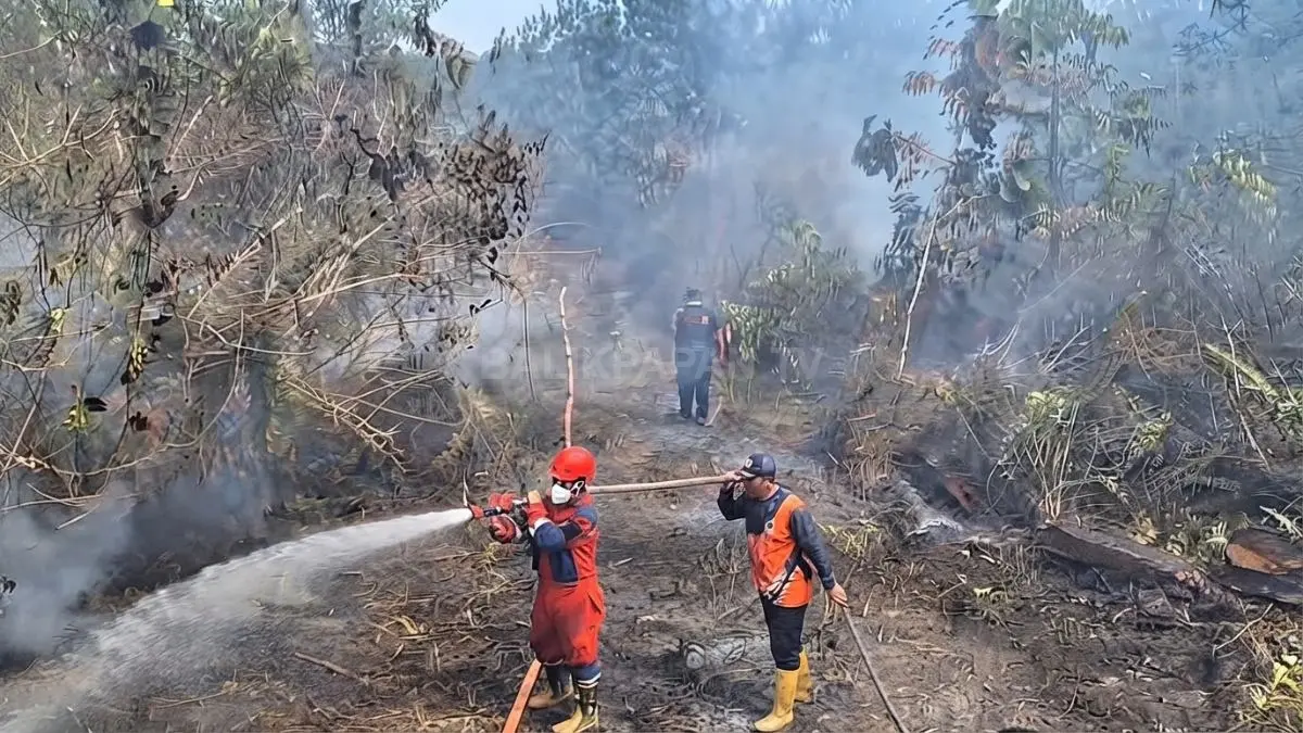 BPBD PPU menangani 63 karhutla seluas 56 hektare, sementara keterbatasan sumber air menghambat proses pemadaman. (Sumber: YouTube Balikpapan TV)