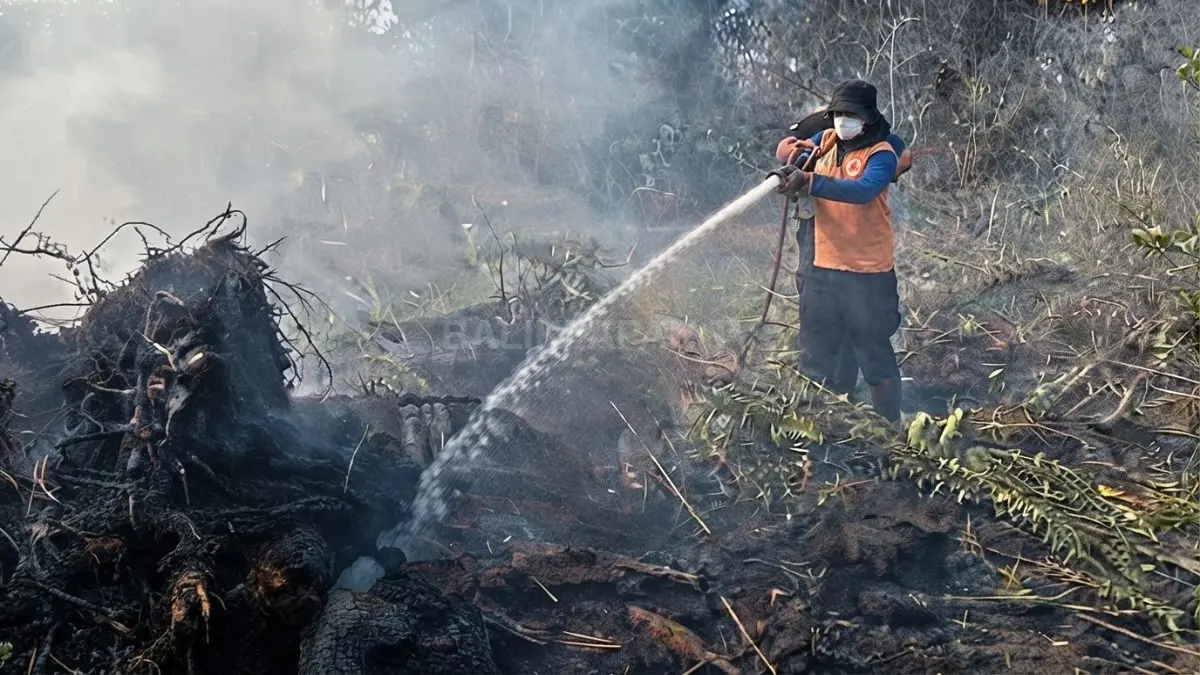 BPBD PPU menduga 90 persen karhutla berkaitan dengan pembukaan lahan, terutama saat musim kemarau. (Sumber: YouTube Balikpapan TV)