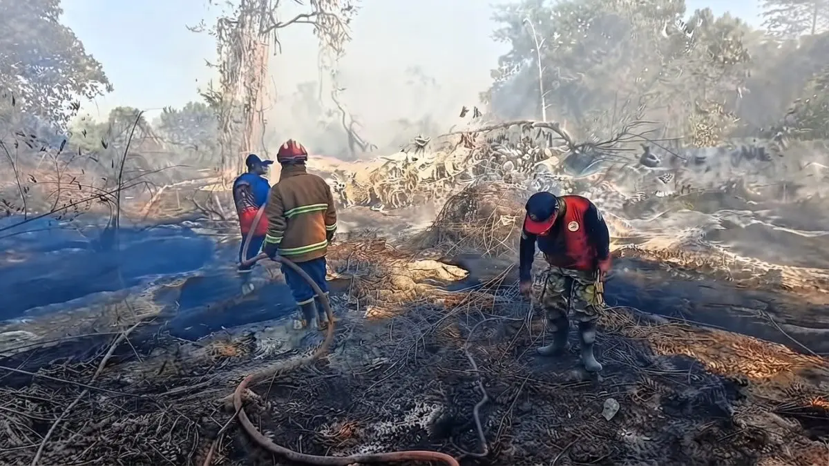 Distan PPU akan memantau kesiapan sarana pengendalian karhutla milik perusahaan perkebunan sesuai ketentuan terbaru. (Sumber: YouTube Balikpapan TV)