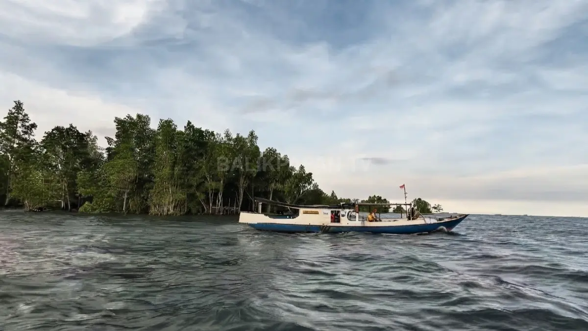 Pantai Kenyamukan Sangatta menyuguhkan panorama pesisir, pepohonan hijau, dan suasana tenang menjelang sore.
