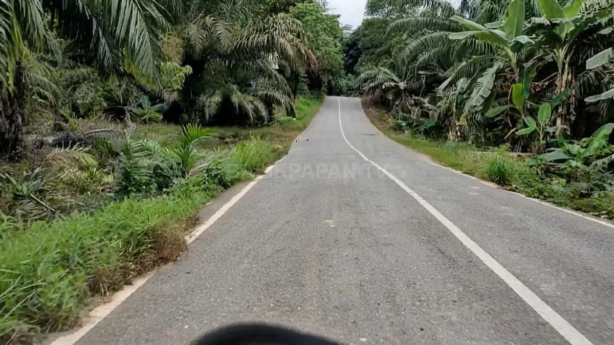 Perjalanan menuju Pantai Sekerat melewati jalur hutan dan sejumlah ruas jalan yang masih menantang.