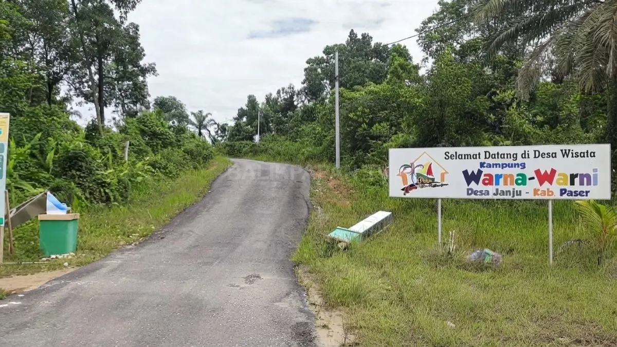Perjalanan menyusuri perairan Janju memperlihatkan hamparan mangrove hijau dari sisi kanan dan kiri.
