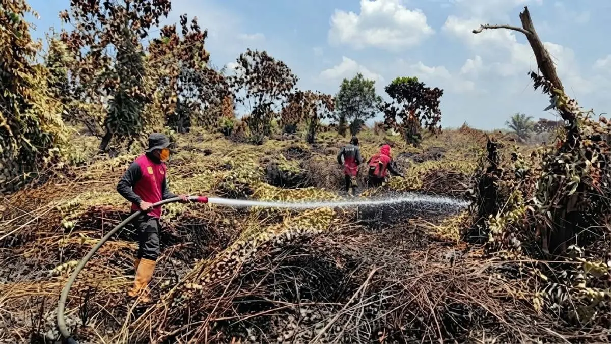 Personel gabungan BPBD PPU berupaya memadamkan api yang membakar lahan gambut untuk mencegah kebakaran meluas. (DOK. IST/KP)