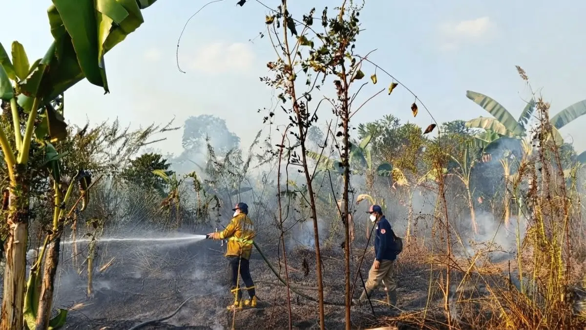 Petugas BPBD menangani kebakaran lahan di kawasan Pampang, Samarinda Utara, Senin (7/9), guna mencegah api meluas. (DOK. HAFIZ/KP)