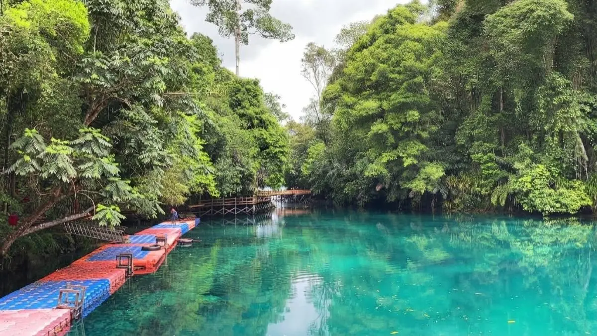Air jernih Labuan Cermin memperlihatkan dasar danau serta ikan dari permukaan kawasan wisata Biduk-Biduk Berau