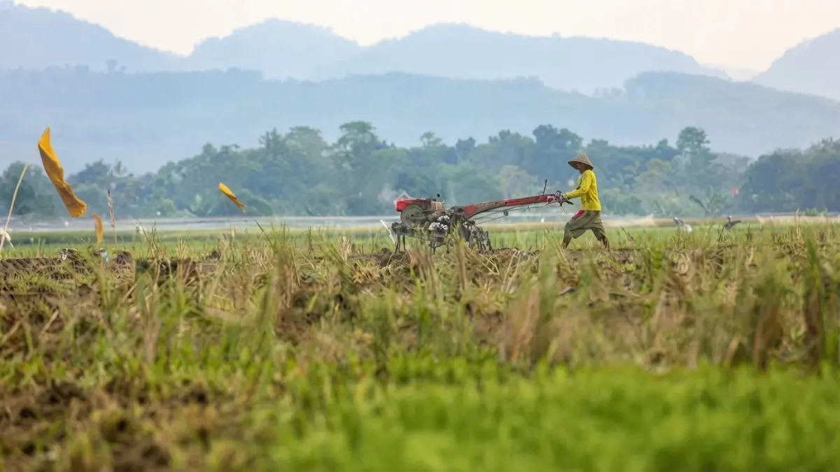 Pemerintah memperkuat perlindungan lahan sawah nasional, meski tujuh provinsi masih mengejar target 2029 [BTV:AI]