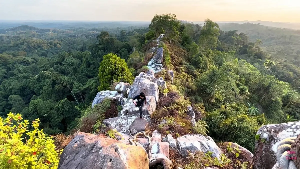 Panorama kawasan hutan dari sekitar Batu Dinding yang menjadi salah satu daya tarik wisata alam di Samboja Barat.