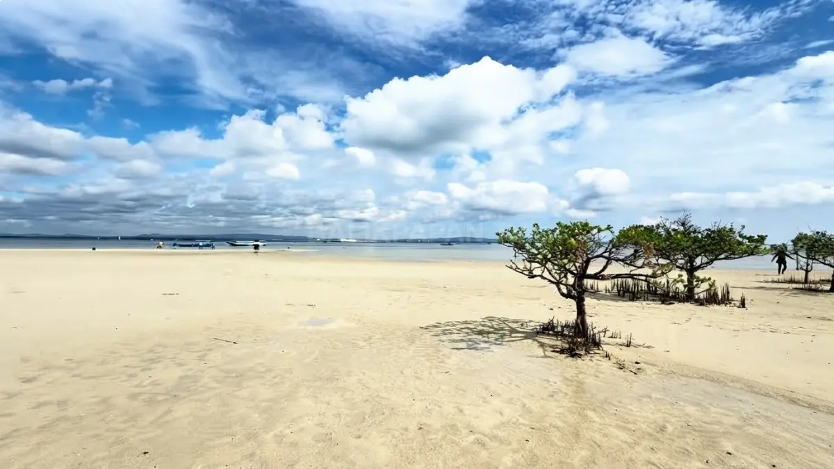 Pulau Segajah Bontang dengan hamparan pasir dan perairan dangkal yang menjadi habitat bintang laut.