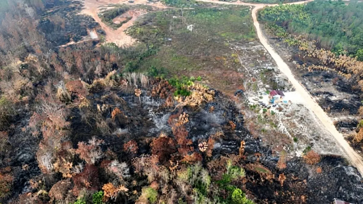 Tim gabungan melakukan penanganan kebakaran hutan dan lahan di wilayah Kabupaten Penajam Paser Utara, Kalimantan Timur.