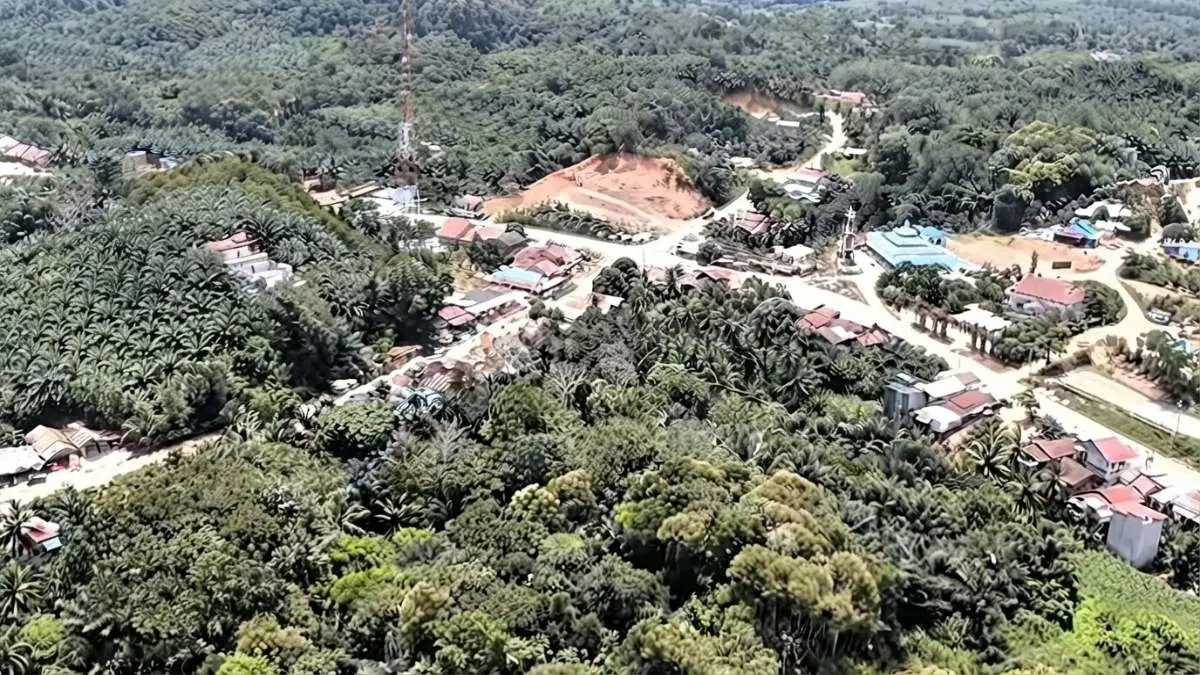 Hotspot PPU terpantau nihil, tetapi pemda tetap memperkuat kewaspadaan dan kesiapan menghadapi potensi karhutla selama musim kemarau. (Sumber: YouTube Balikpapan TV)